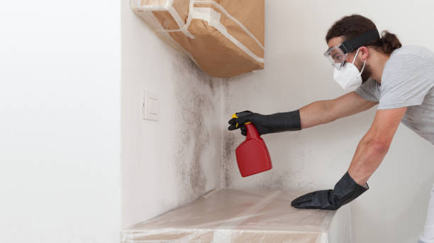 Professional Crawl Space Mold Removal technician working in Dayton, NJ